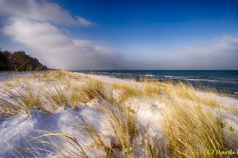 Darß - Urlaubsparadies an der Ostsee und am Nationalpark Vorpommersche Boddenlandschaft