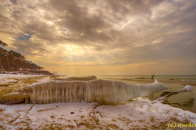 Darß - Urlaubsparadies an der Ostsee und am Nationalpark Vorpommersche Boddenlandschaft