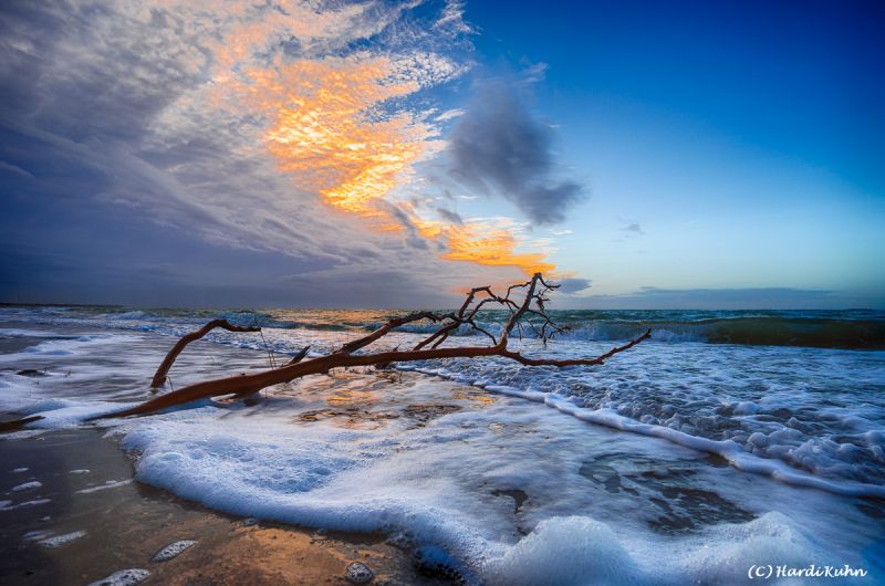 Darß - Urlaubsparadies an der Ostsee und am Nationalpark Vorpommersche Boddenlandschaft