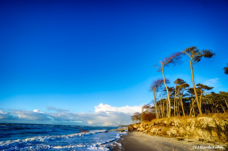 Darß - Urlaubsparadies an der Ostsee und am Nationalpark Vorpommersche Boddenlandschaft
