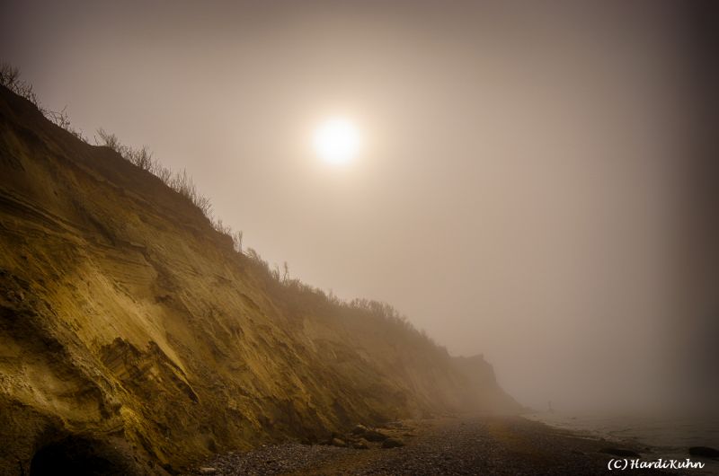 Darß - Urlaubsparadies an der Ostsee und am Nationalpark Vorpommersche Boddenlandschaft