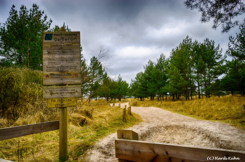 Darß - Urlaubsparadies an der Ostsee und am Nationalpark Vorpommersche Boddenlandschaft