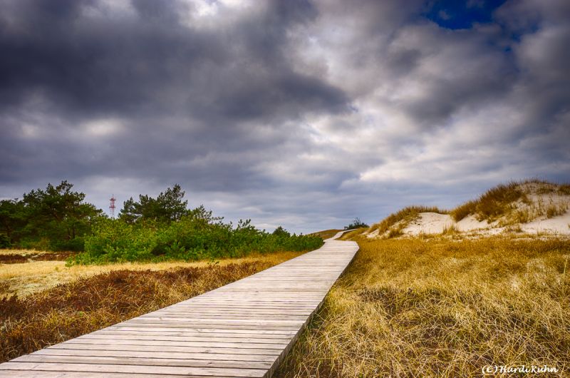 Darß - Urlaubsparadies an der Ostsee und am Nationalpark Vorpommersche Boddenlandschaft