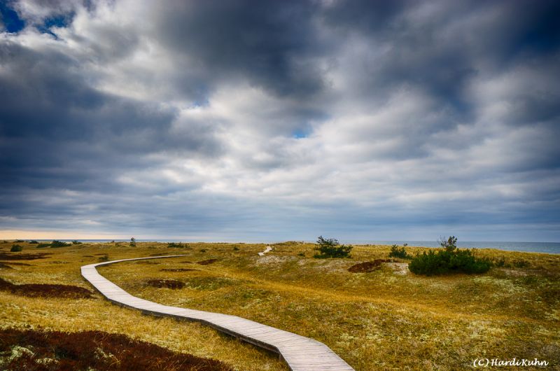 Darß - Urlaubsparadies an der Ostsee und am Nationalpark Vorpommersche Boddenlandschaft
