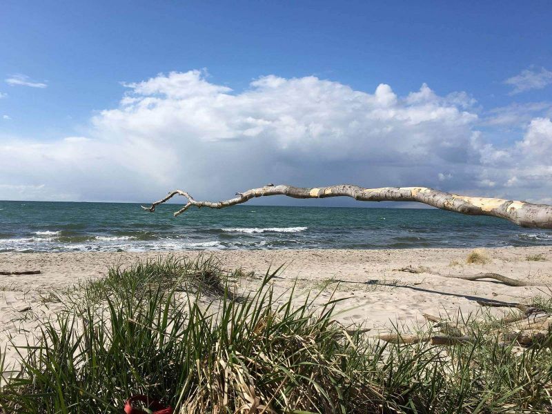 Darß - Urlaubsparadies an der Ostsee und am Nationalpark Vorpommersche Boddenlandschaft