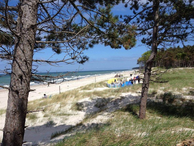 Darß - Urlaubsparadies an der Ostsee und am Nationalpark Vorpommersche Boddenlandschaft