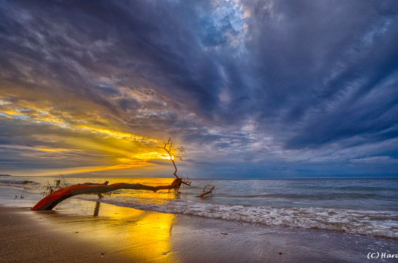 Darß - Urlaubsparadies an der Ostsee und am Nationalpark Vorpommersche Boddenlandschaft
