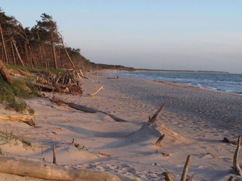 Darß - Urlaubsparadies an der Ostsee und am Nationalpark Vorpommersche Boddenlandschaft