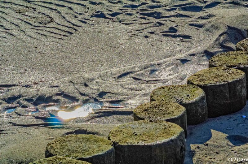 Darß - Urlaubsparadies an der Ostsee und am Nationalpark Vorpommersche Boddenlandschaft