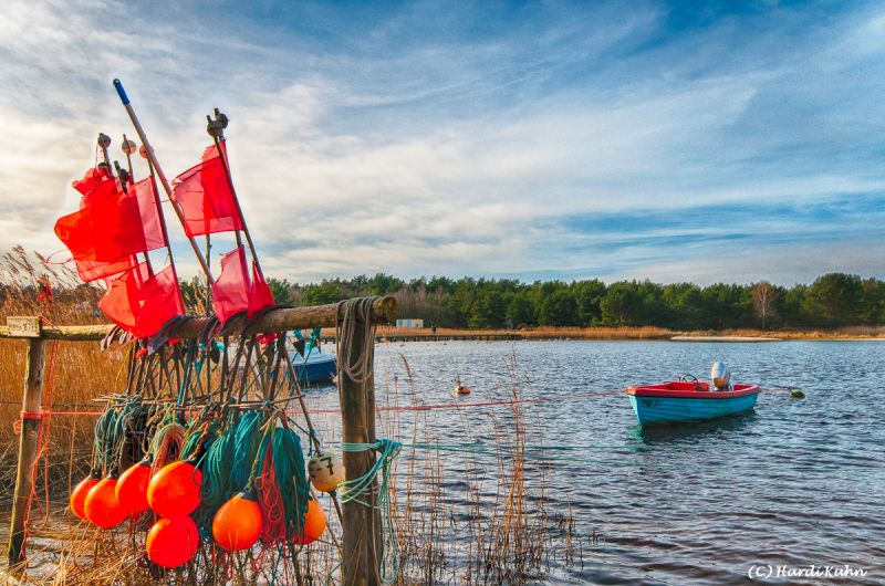 Darß - Urlaubsparadies an der Ostsee und am Nationalpark Vorpommersche Boddenlandschaft