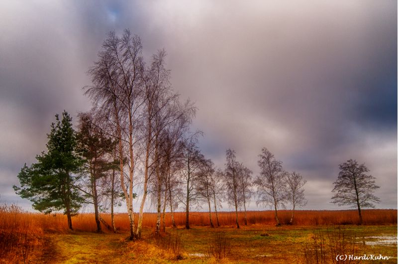 Darß - Urlaubsparadies an der Ostsee und am Nationalpark Vorpommersche Boddenlandschaft