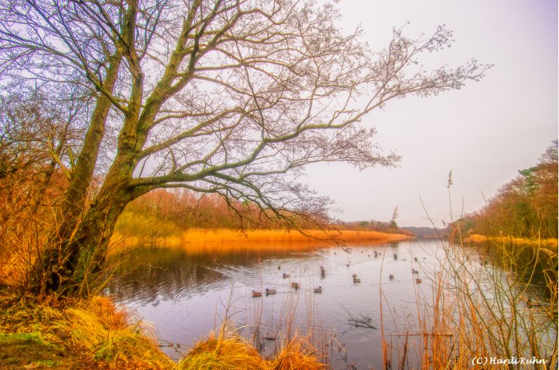 Darß - Urlaubsparadies an der Ostsee und am Nationalpark Vorpommersche Boddenlandschaft