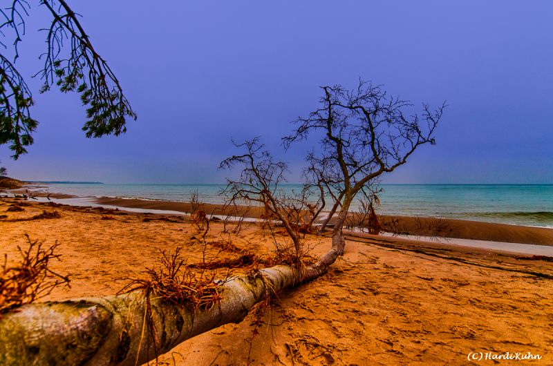 Darß - Urlaubsparadies an der Ostsee und am Nationalpark Vorpommersche Boddenlandschaft