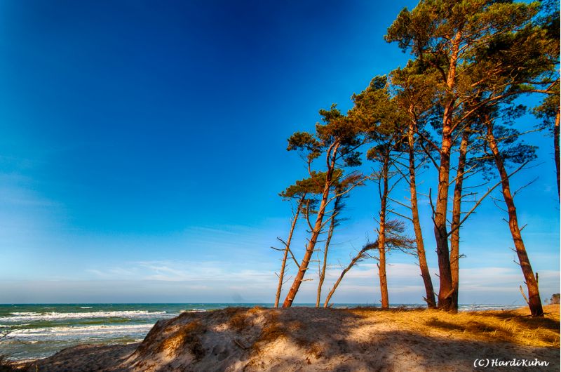 Darß - Urlaubsparadies an der Ostsee und am Nationalpark Vorpommersche Boddenlandschaft