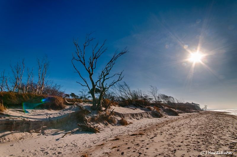 Darß - Urlaubsparadies an der Ostsee und am Nationalpark Vorpommersche Boddenlandschaft