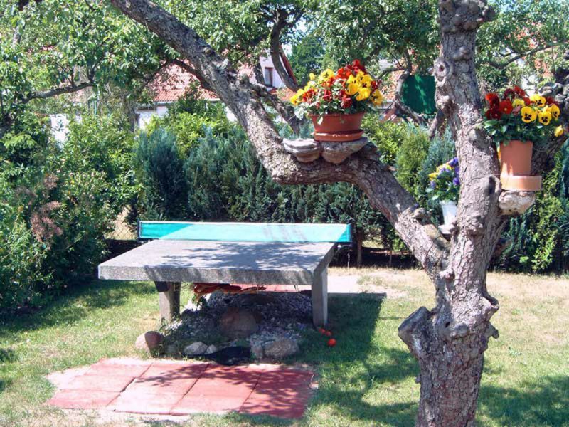 Unser Spielplatz mit Ferienwohnungen in Wieck auf dem Darß