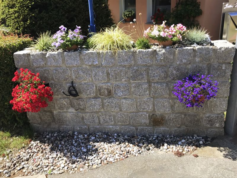 Unser Garten mit Ferienwohnungen in Wieck auf dem Darß