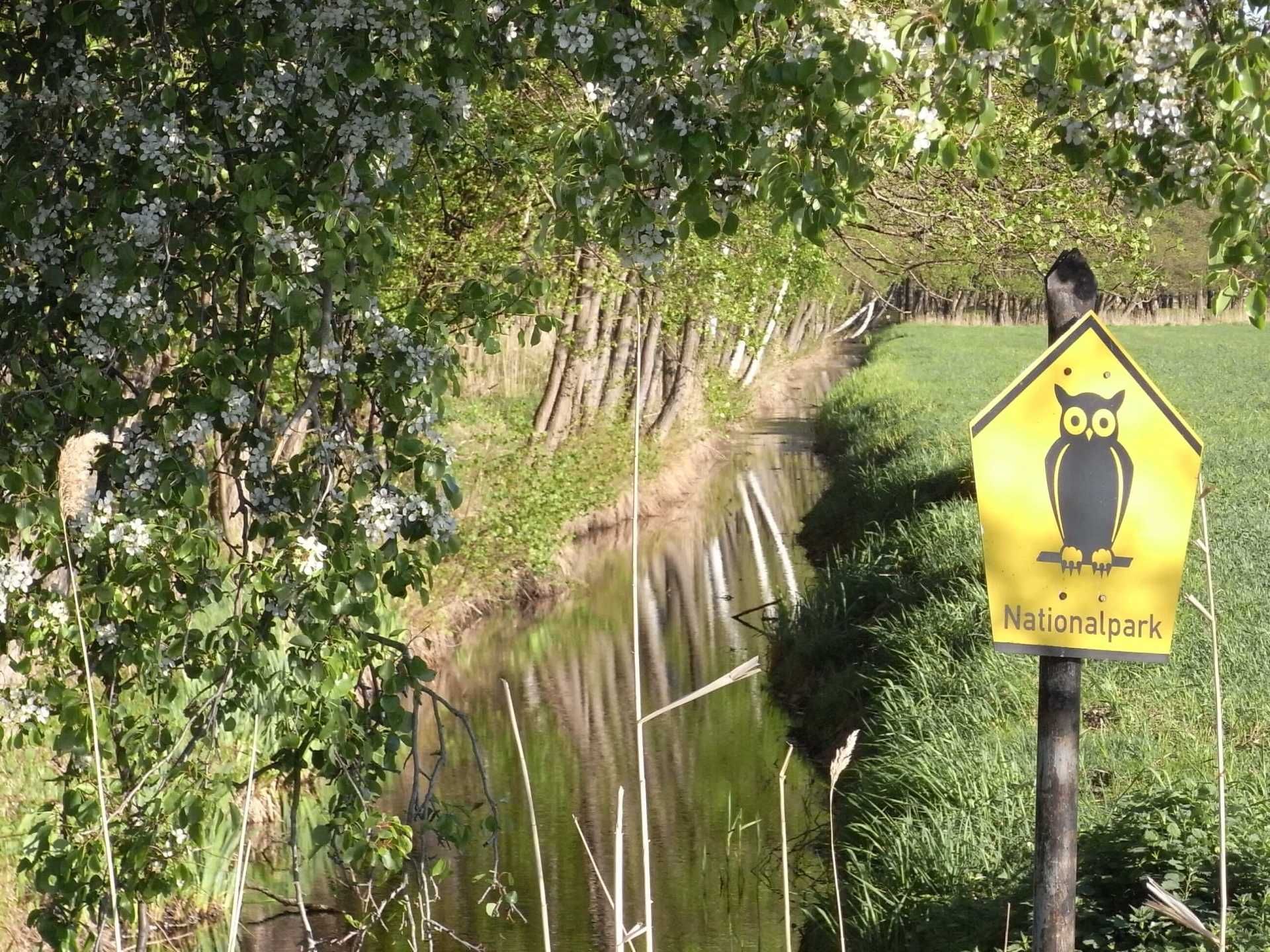 Nationalpark - Darßer Wald