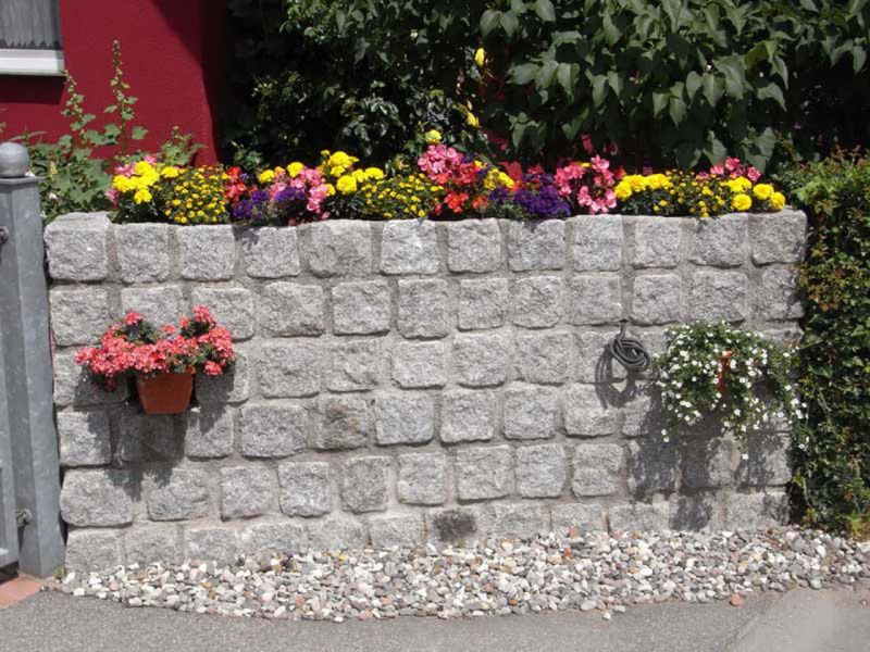 Herzlich Willkommen in unseren Ferienwohnungen in Wieck auf dem Darß