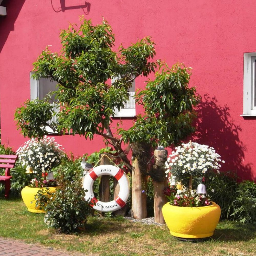 Urlaub am Darss in Wieck an der Ostseeküste